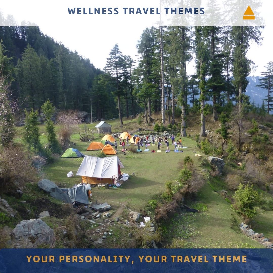 Group of people camping in a forested area with tents and people gathered together.